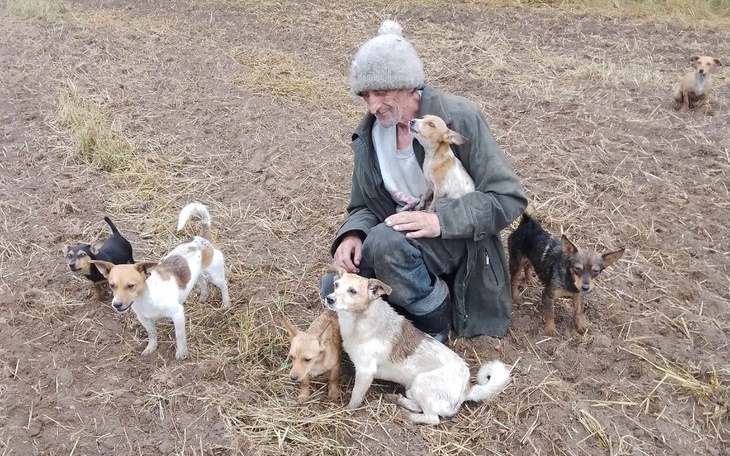 Zbiórka Na psy Pana Antonia i Psikątkowe - zdjęcie główne