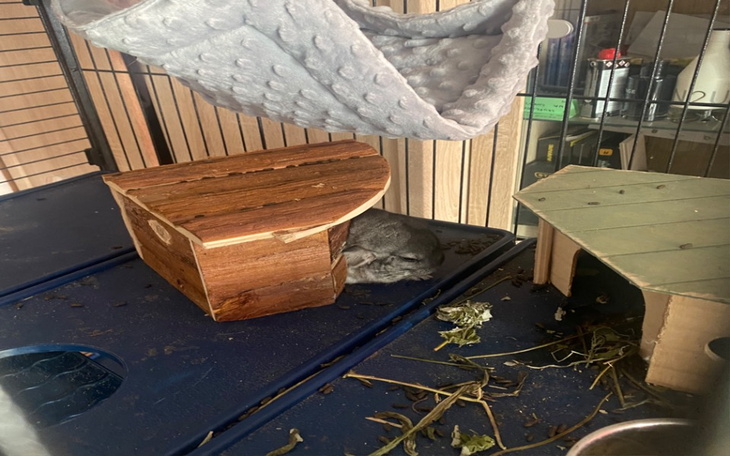 Zbiórka Na lekarstwa dla synka - zdjęcie główne