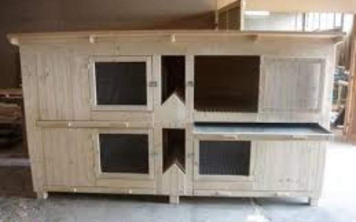 Zbiórka Zbieram no nowa klatkę dla króli - zdjęcie główne