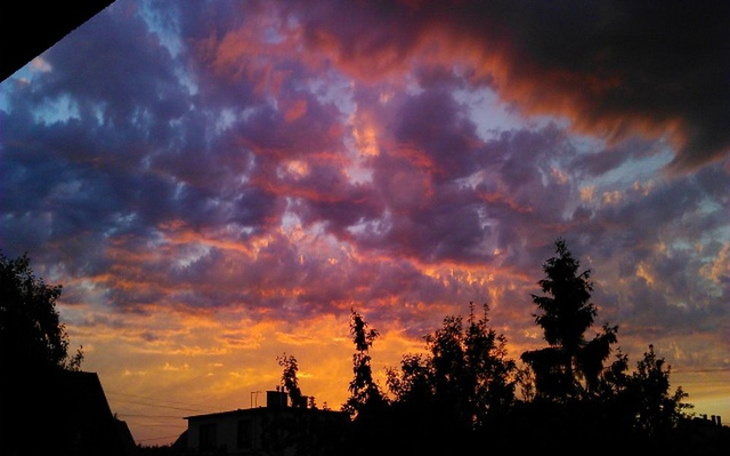 Zbiórka Elten - portal dla niewidomych - zdjęcie główne