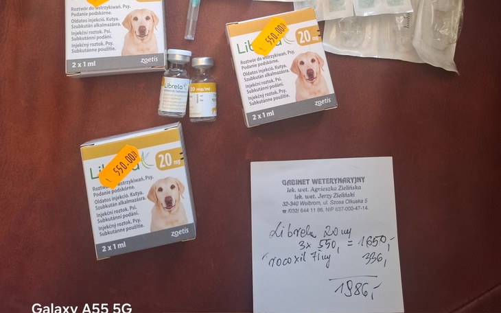 Leki weterynaryjne dla psa, w tym szczepionki i recepta.