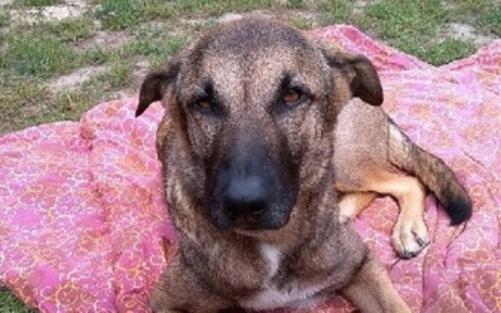 Zbiórka Zaza jest chora - zdjęcie główne