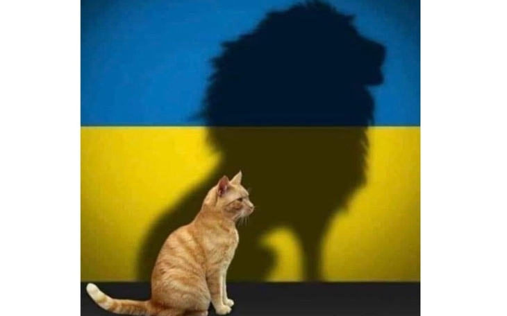 Zbiórka Ukraina Pierwsza Pomoc - zdjęcie główne