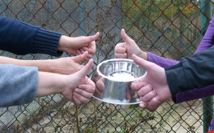 Zbiórka Karma dla chorych psów - zdjęcie główne