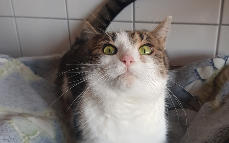 Zbiórka Zbiórka na chrupeczki - zdjęcie główne