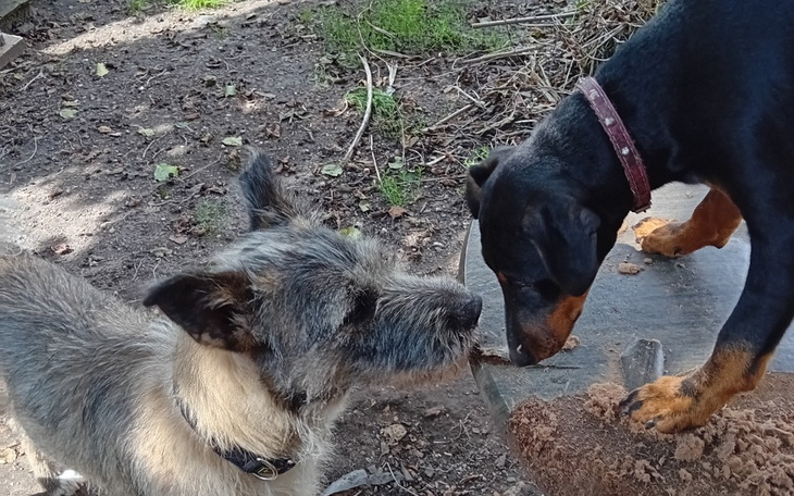 Zbiórka Pomoc w zakupie kojca dla dt - zdjęcie główne