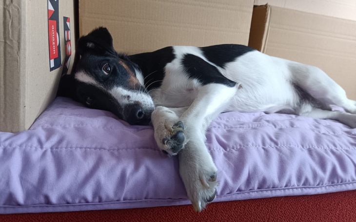 Zbiórka Na diagnostykę i leczenie Ziutka - zdjęcie główne