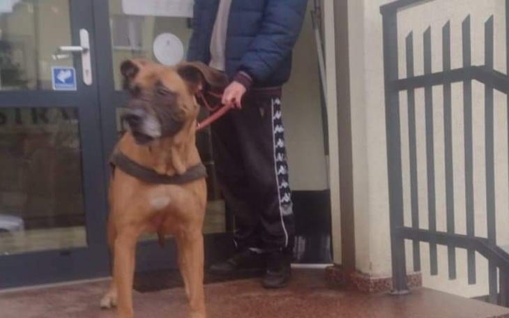 Zbiórka Fado prosi o pomoc - zdjęcie główne