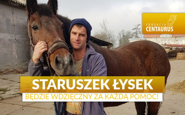 Zbiórka Staruszek Łysek - zdjęcie główne