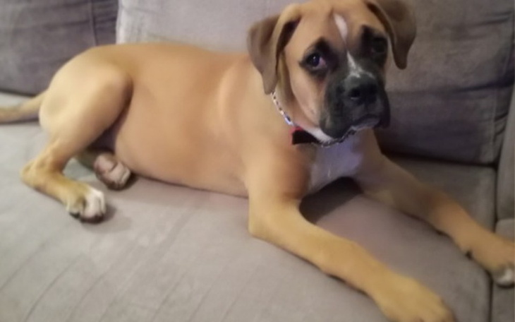 Zbiórka Operacja zaćmy u Tosi - zdjęcie główne