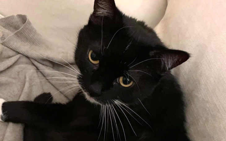 Zbiórka Ratujemy Refleksję - zdjęcie główne