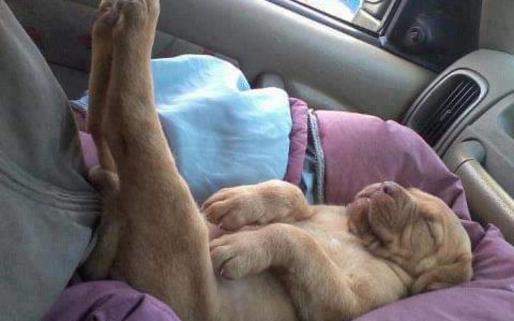 Zbiórka Na pierwszy Samochód xx - zdjęcie główne