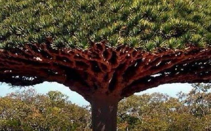 Zbiórka Rozwój i działalność firmy - zdjęcie główne