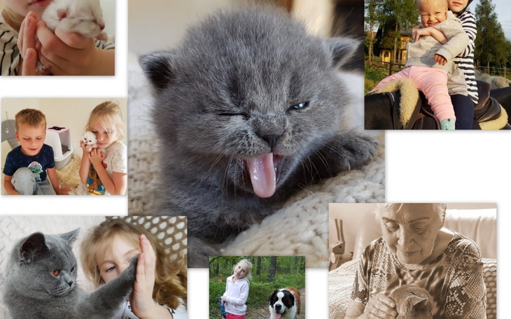 Zbiórka Zajęcia Uśmiechotwórcze - zdjęcie główne