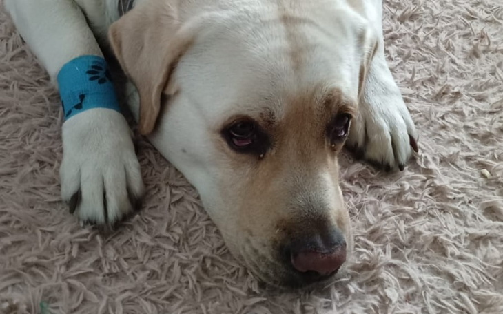 Dzieci bawiące się w parku, otoczone przyjaciółmi.