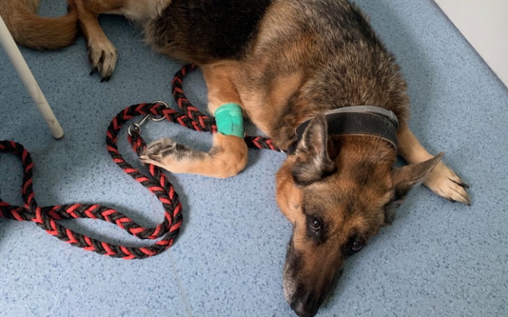 Zbiórka Na operację Luki - zdjęcie główne