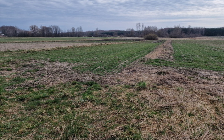 Zbiórka Stworzenie ogrodu i małego sadu. - zdjęcie główne