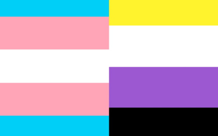 Zbiórka wydatki na tranzycję - zdjęcie główne