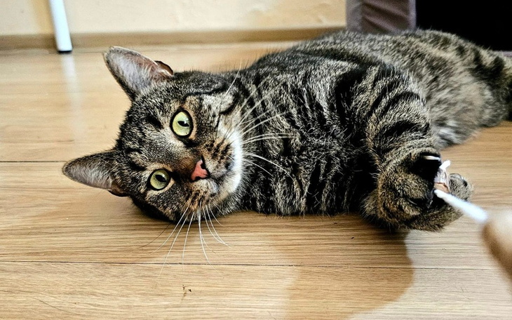 Zbiórka Żurek nasz wielkanocny. - zdjęcie główne