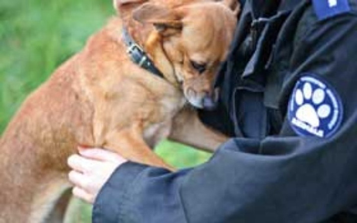 Zbiórka Schronisko OTOZ Animals Oświęcim - zdjęcie główne