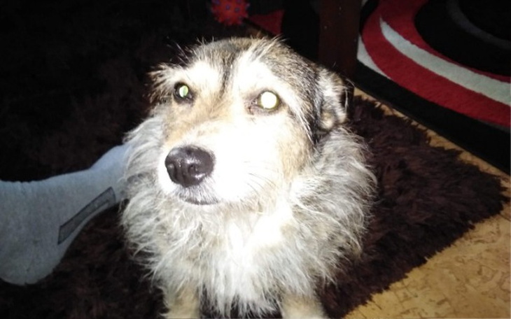 Zbiórka usg zdiagnozowanie choroby - zdjęcie główne