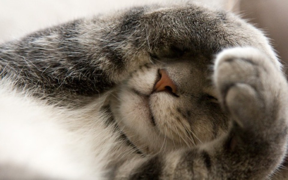 
        Zbiórka zbieram ... - zdjęcie główne
    