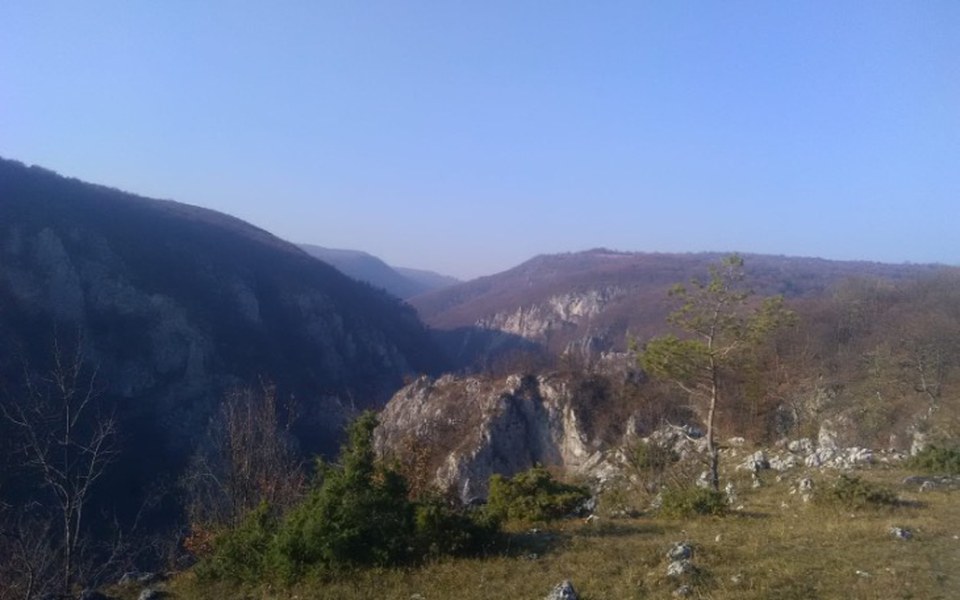 
        Zbiórka Samochód dla misjonarzy - zdjęcie główne
    