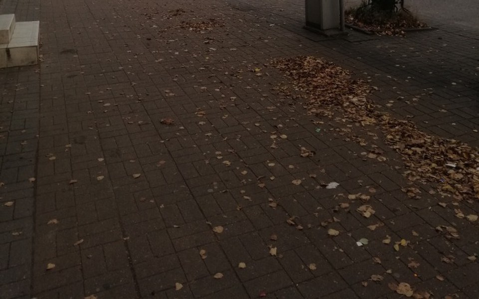 
        Zbiórka Ślub. - zdjęcie główne
    