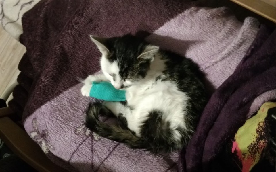 
        Zbiórka Zbieramy dla chorego maluszka - zdjęcie główne
    