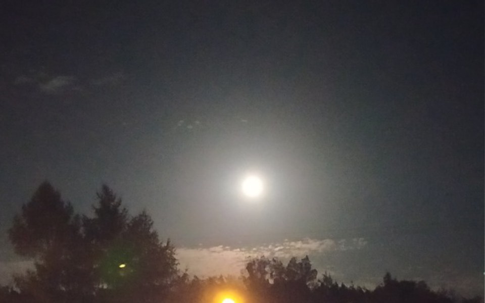 
        Zbiórka Bajlo - zdjęcie główne
    