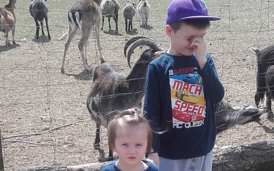 
        Zbiórka Wymarzone prezenty dla dzieci - zdjęcie główne
    