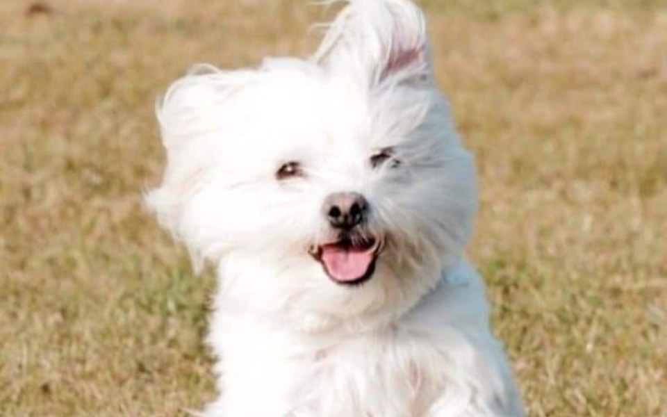 
        Zbiórka Podziękowanie Dla ukochanej - zdjęcie główne
    