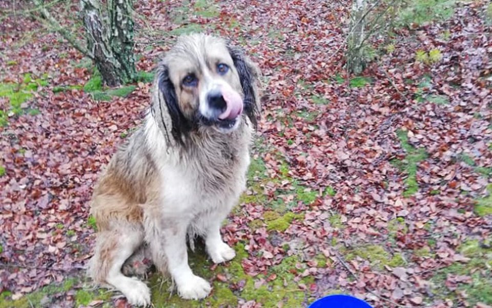 
        Zbiórka Benio z Radysek prosi o grosik - zdjęcie główne
    