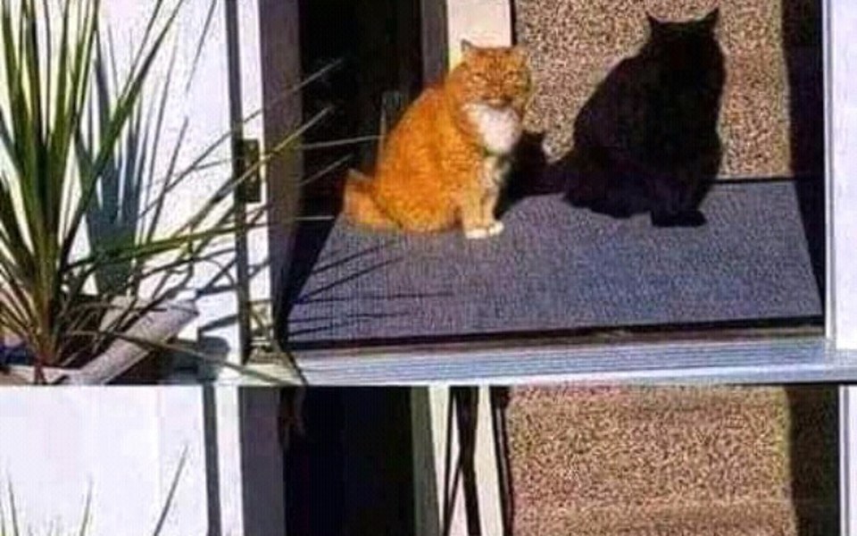 
        Zbiórka Na święta na prezent - zdjęcie główne
    