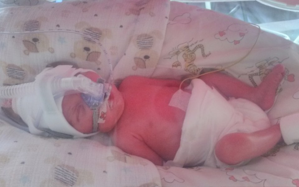 
        Zbiórka Pomoc dla dwóch księżniczek - zdjęcie główne
    