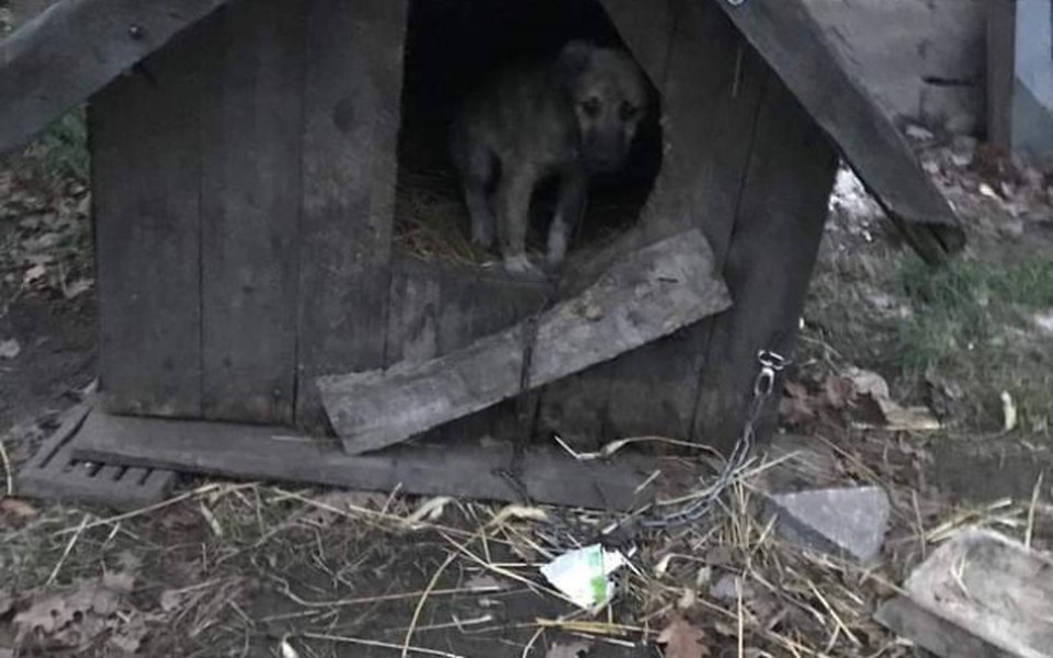 
        Zbiórka Pomagamy na odbudowę schroniska - zdjęcie główne
    