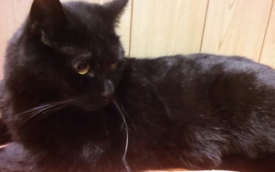 
        Zbiórka Kocurek Lucjan - zdjęcie główne
    