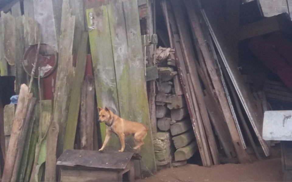 
        Zbiórka Rodzenstwo z łańcucha - zdjęcie główne
    