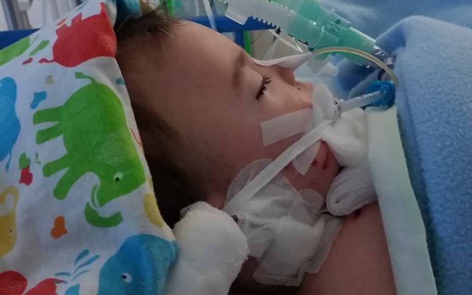 
        Zbiórka Dla małego Antosia - zdjęcie główne
    