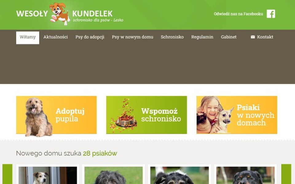 Zbiórka Schronisko Wesoły Kundelek - zdjęcie główne