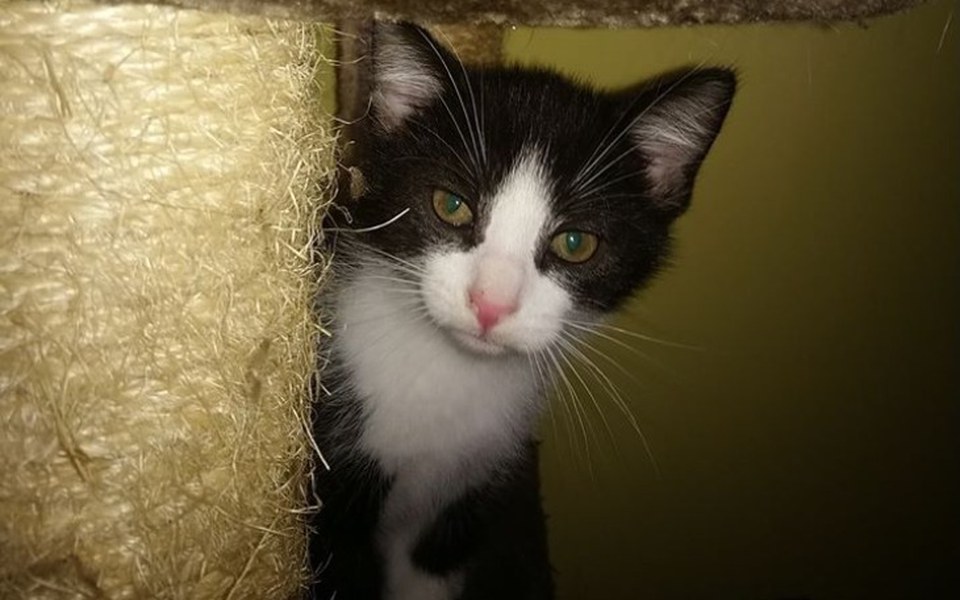 
        Zbiórka Pomoc dla Pani Józi - zdjęcie główne
    