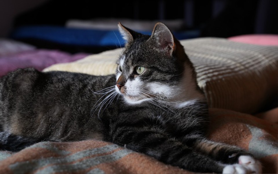 
        Zbiórka Urodzinowa zbiórka Martyny - zdjęcie główne
    