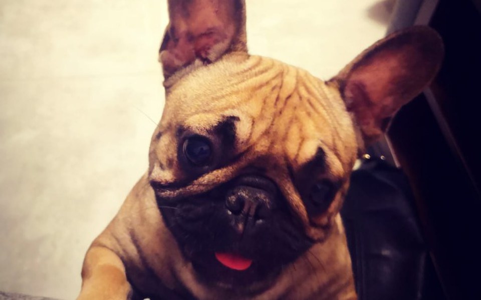 
        Zbiórka Korekta podniebienia i noska - zdjęcie główne
    