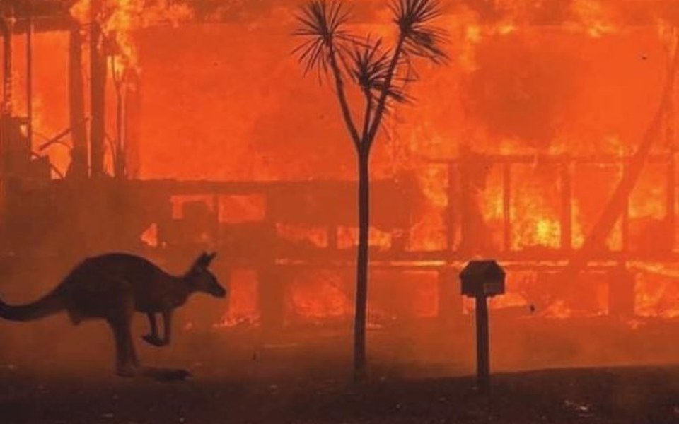 
        Zbiórka Zbiórka na pomoc Australii - zdjęcie główne
    