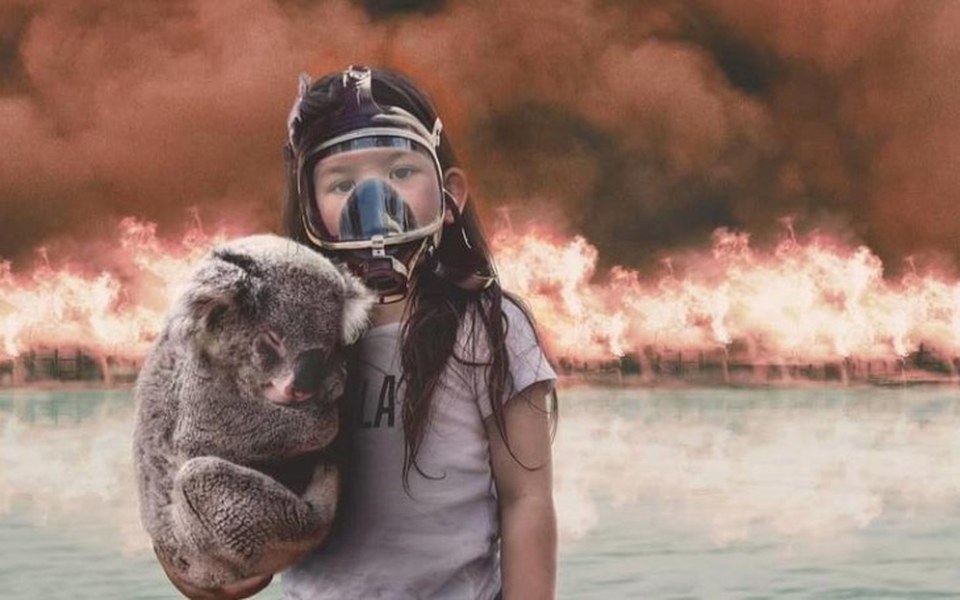 
        Zbiórka Pomóżmy przeżyć misią koala - zdjęcie główne
    