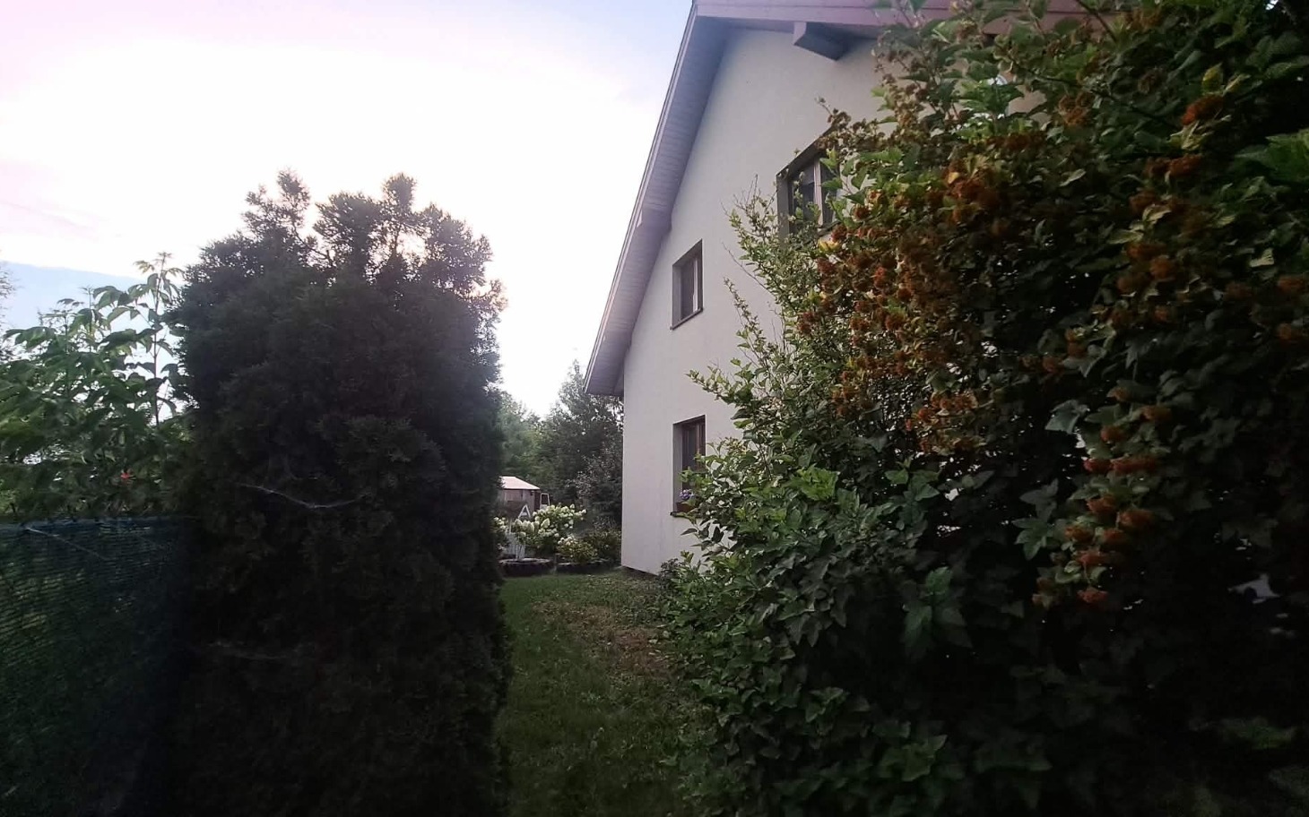 
        Podwórko domu z ogrodem, wysoka żywopłot i drzewa na tle domu.
    