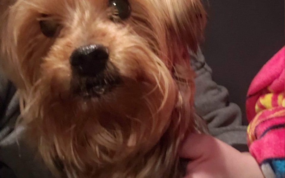 
        Zbiórka pomoc za serce - zdjęcie główne
    