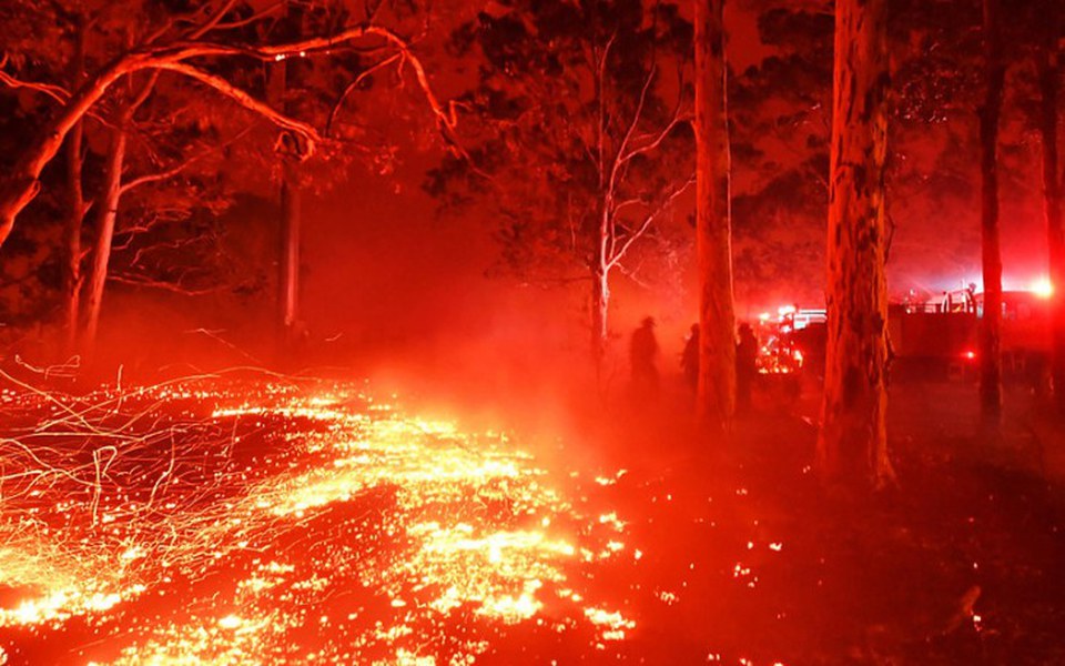 
        Zbiórka Zbiórka na pomoc Australi - zdjęcie główne
    