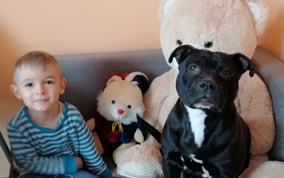 
        Zbiórka Na wykup naszego mieszkania - zdjęcie główne
    