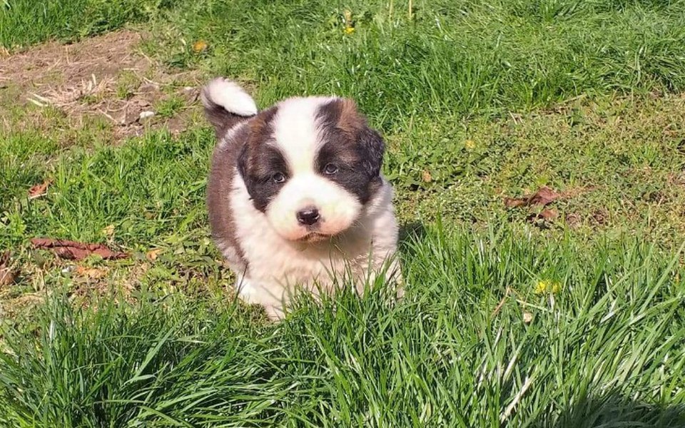 
        Zbiórka Spłata długu za głupote - zdjęcie główne
    